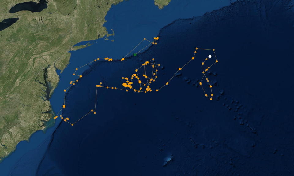 screen-shot-2016-12-14-at-11-56-52-am